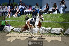 ref. photo 3601068
