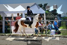 ref. photo 3601073