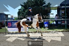 ref. photo 3601074