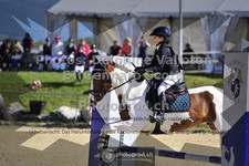ref. photo 3601075