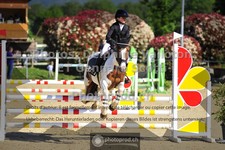 ref. photo 3601077