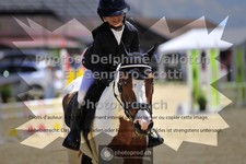 ref. photo 3601079