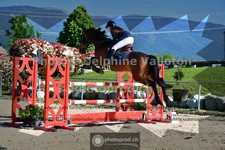 ref. photo 3601097