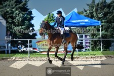 ref. photo 3601098
