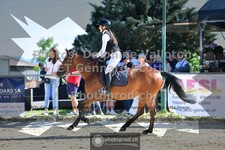 ref. photo 3601135