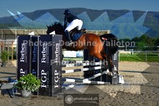ref. photo 3601151