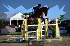 ref. photo 3601167