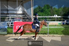 ref. photo 3601181
