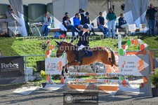 ref. photo 3601184