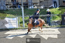 ref. photo 3601185