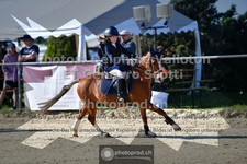 ref. photo 3601188