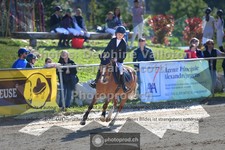 ref. photo 3601193