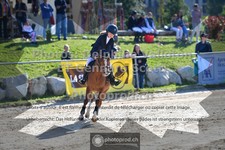 ref. photo 3601194