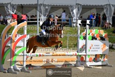 ref. photo 3601203