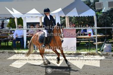 ref. photo 3601208