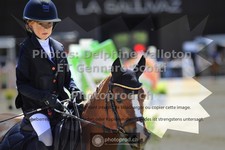 ref. photo 3601214