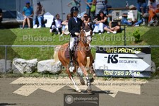 ref. photo 3601219