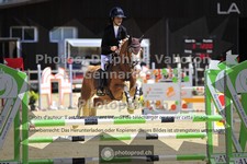 ref. photo 3601232