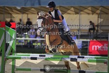 ref. photo 3601234