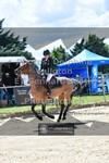 ref. photo 3601238
