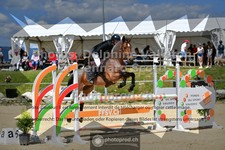 ref. photo 3601242
