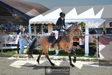 ref. photo 3601247