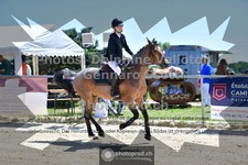 ref. photo 3601248