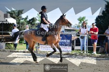 ref. photo 3601250