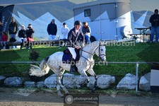 ref. photo 3601284