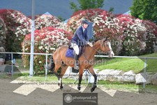 ref. photo 3601313