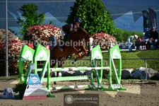 ref. photo 3601320