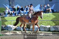 ref. photo 3601326