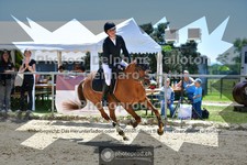 ref. photo 3601361