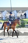 ref. photo 3601368