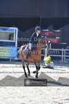 ref. photo 3601369