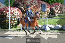 ref. photo 3601371