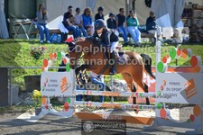 ref. photo 3601373