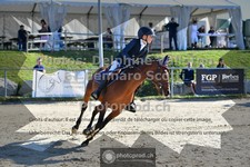 ref. photo 3601375