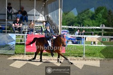 ref. photo 3601377