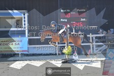 ref. photo 3601380