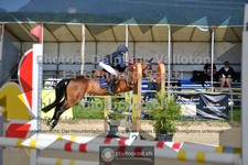 ref. photo 3601384