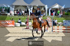 ref. photo 3601401
