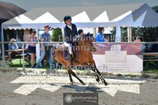 ref. photo 3601408