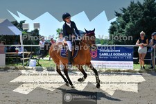 ref. photo 3601409