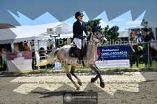 ref. photo 3601443