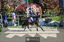 ref. photo 3601454