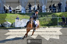 ref. photo 3601463