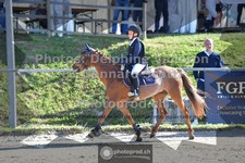 ref. photo 3601470