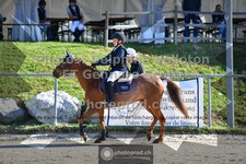 ref. photo 3601471