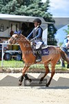 ref. photo 3601473